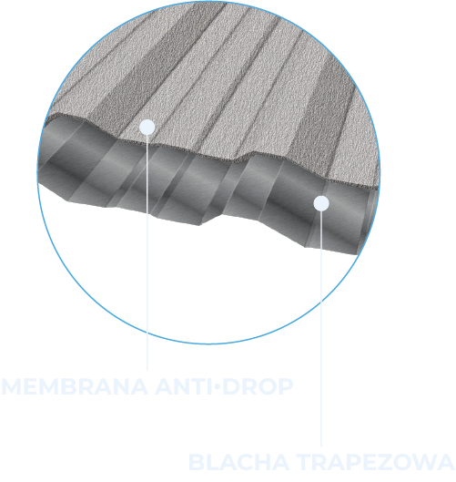 Schemat instalacji samoprzylepnej bariery antykondensacyjnej Anti-Drop naniesionej na profilowaną blachę dachową.